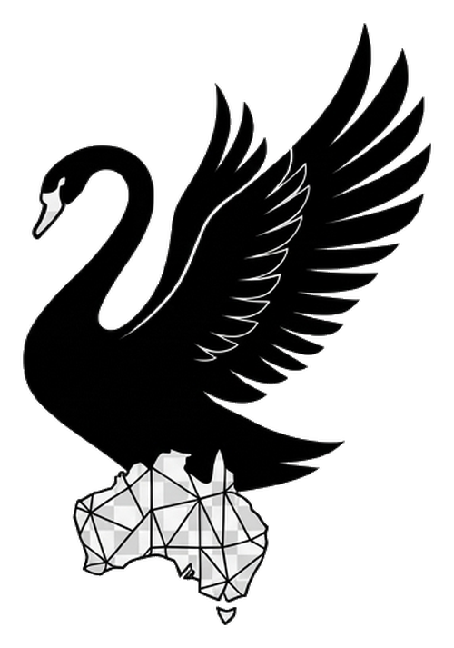Black Swan Construction Technology